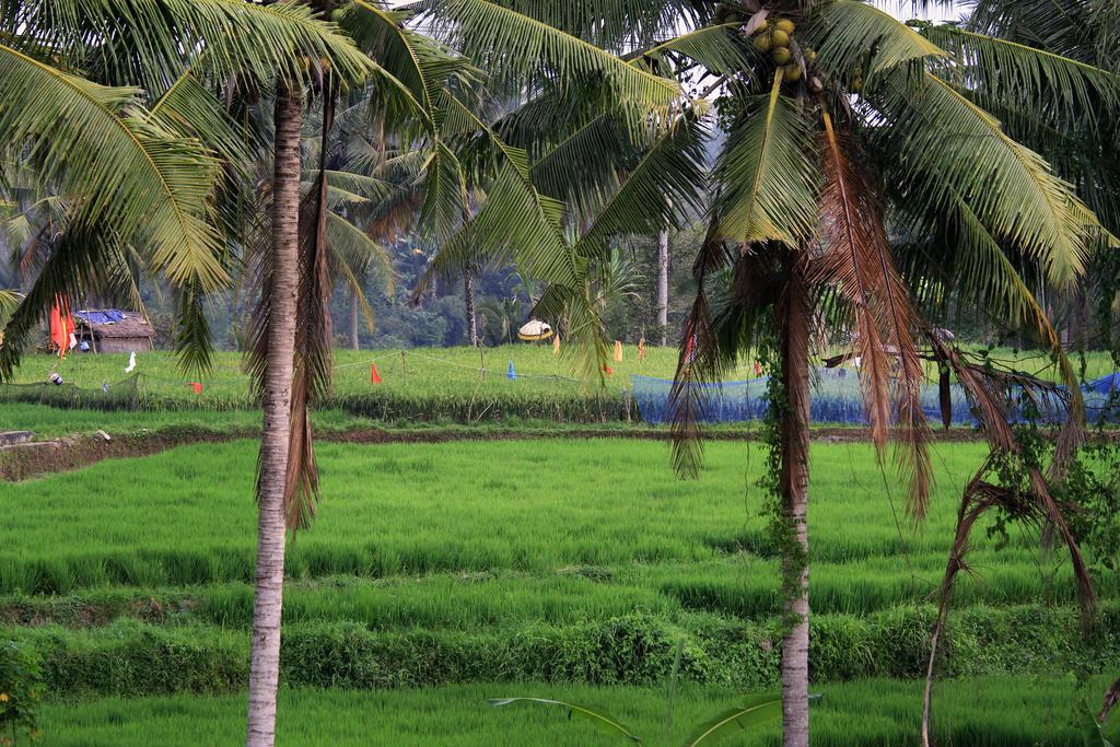 Puri Padma Hotel Ubud Eksteriør bilde