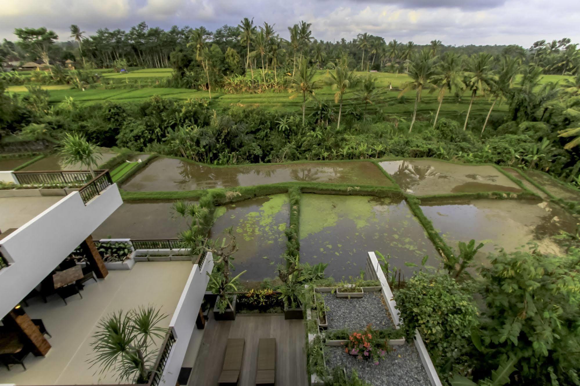 Puri Padma Hotel Ubud Eksteriør bilde