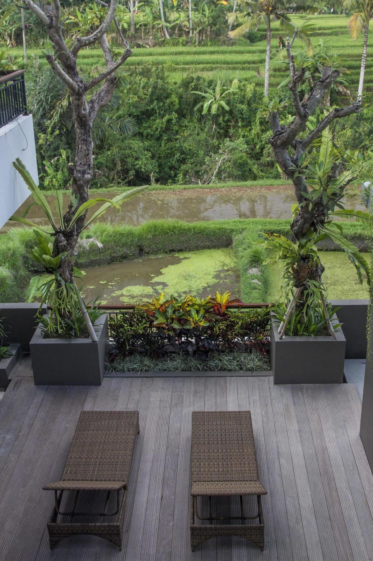 Puri Padma Hotel Ubud Eksteriør bilde